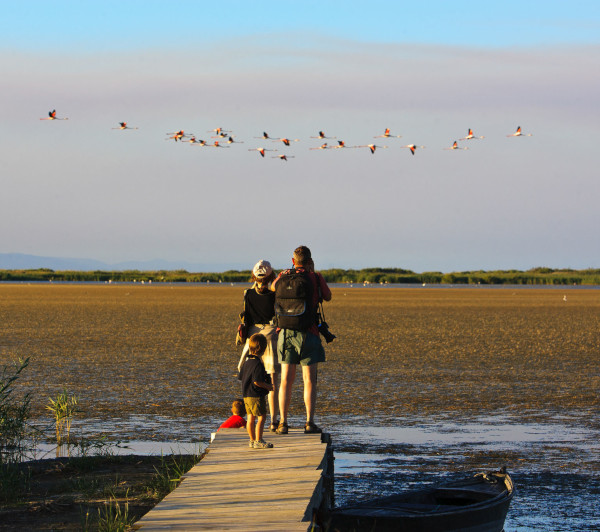 TERRES DE L'EBRE