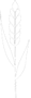 Espiga Turisme