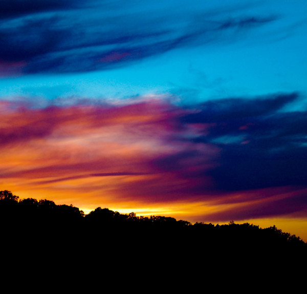 TERRES DE LLEIDA