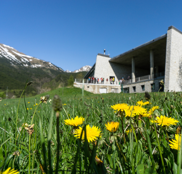 EMPRESAS DE ECOTURISMO